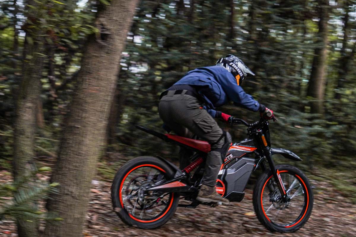 Horwin HT5-Offroad Wald L3e 85km/h Cross Bike Offroad E-LEVEN Mobility Stuttgart